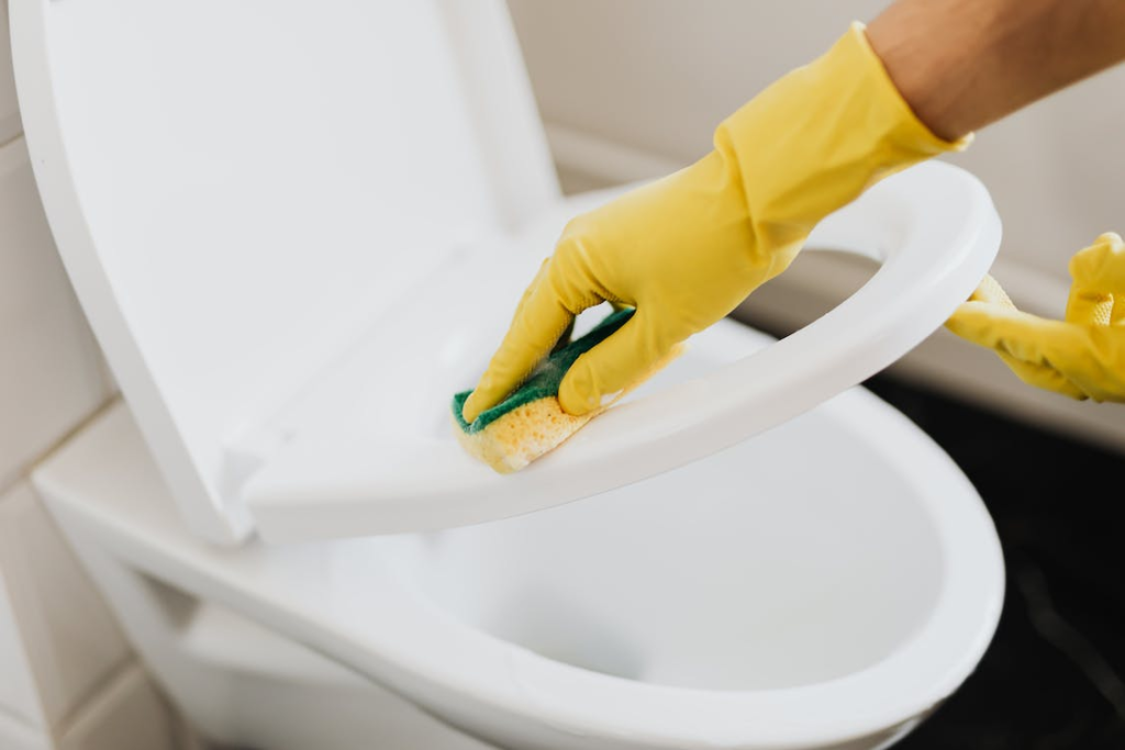 A person cleaning the toilet using a sponge