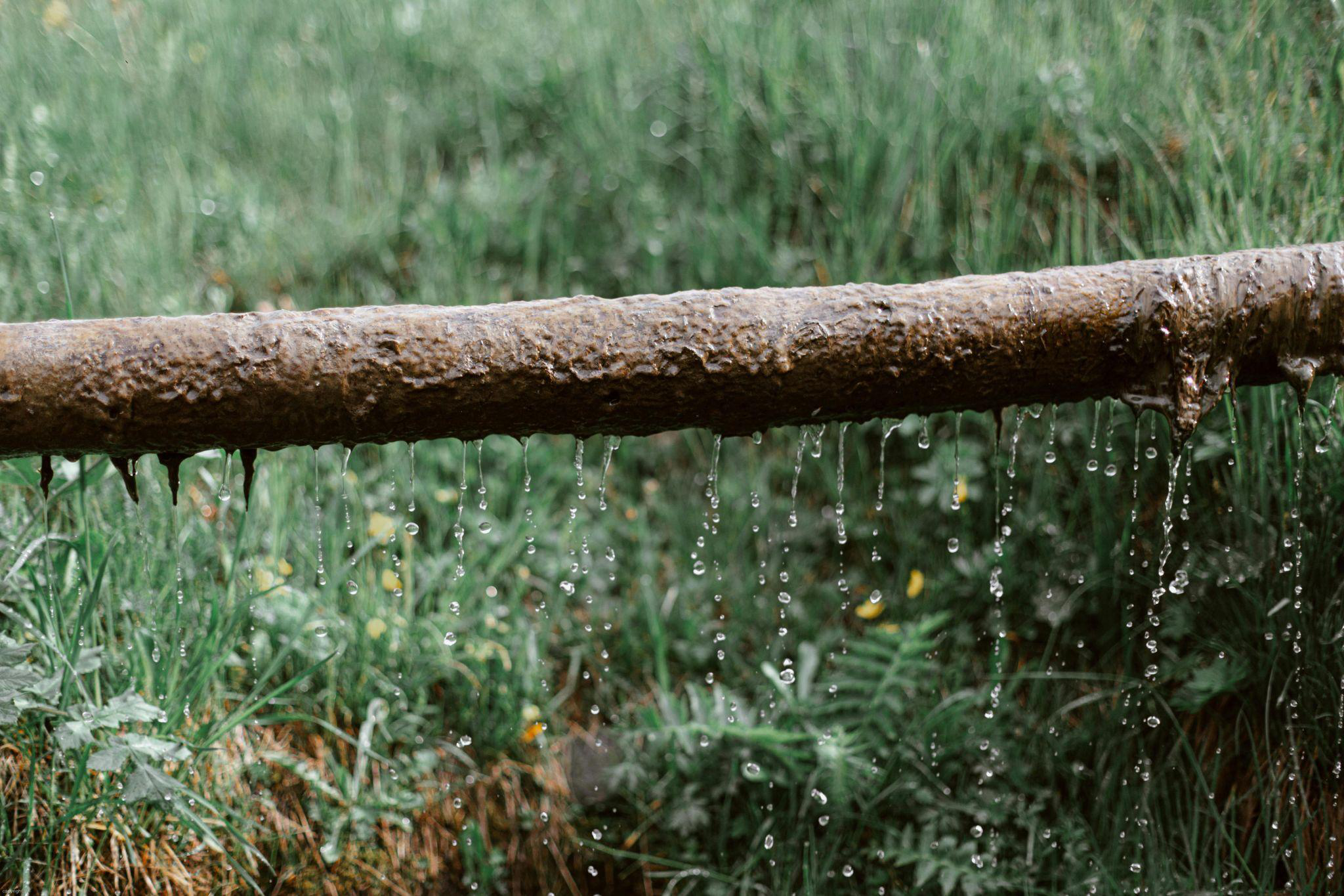 Rusted outdoor pipe leaking water.