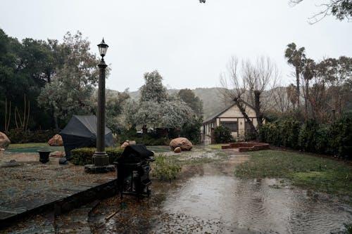 A puddle of water in a yard